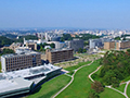 東北大学